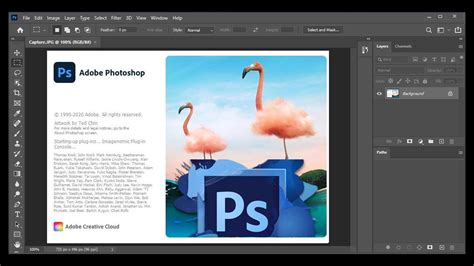 Adobe 2021 .